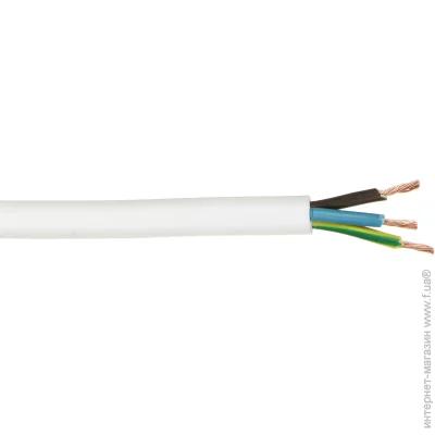 Expert Power     31,0 