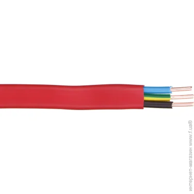Expert Power     32,5 