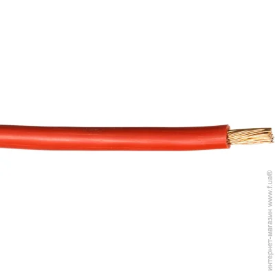  Expert Power    -3 1x6,0 
