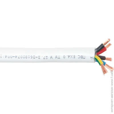 Expert Power     54,0 