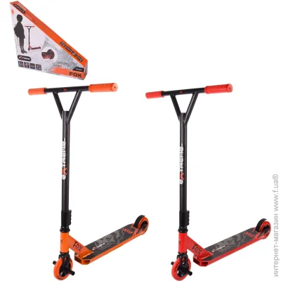   Extreme Motion Fox Assorted (TR21005)  80  