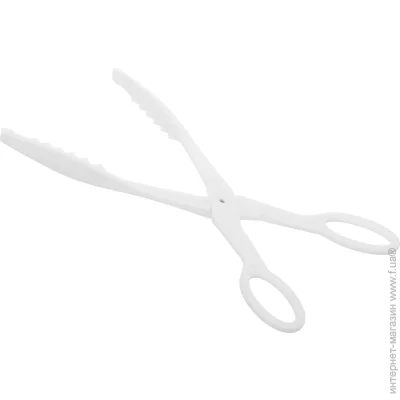 Fackelmann    30  40950