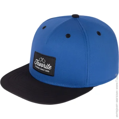 Favorite  58 Blue/Snapback blue (1693.12.44)