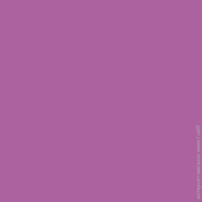 Feidal     Innen Basisfarbe  A 3-E 2.3