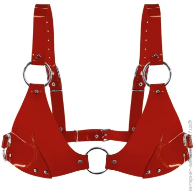  Feral Feelings   - Bikini Top Red (SO9319~22)