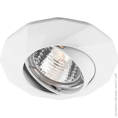  Feron   DL6021    (28878-fer)