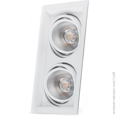     Feron AL202 2xCOB 20W 