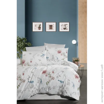    First Choice      First Choice Ranforce - First Choice - R-224 Hope -  -  (39600)