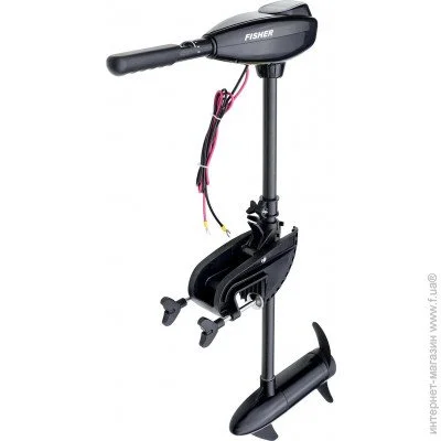   Fisher 55