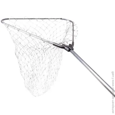 Fishing Roi   50*50
