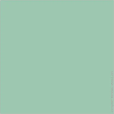 Folia    Fotokarton A4 25 (21x29,7 ) -'