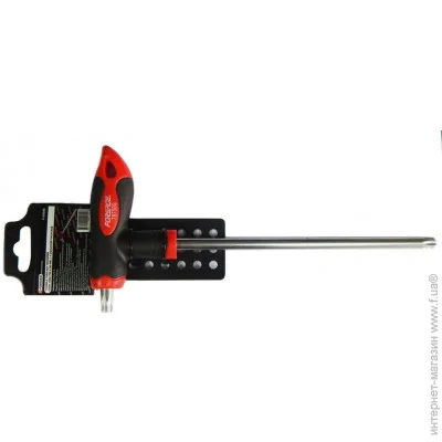 Forsage Tools  - TORX    T20100,    F-76720G