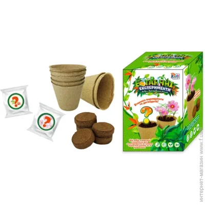 Fun Game Club   77861 , , 