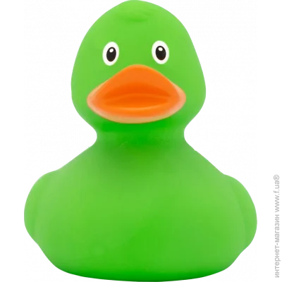 Funny Ducks      (1307)