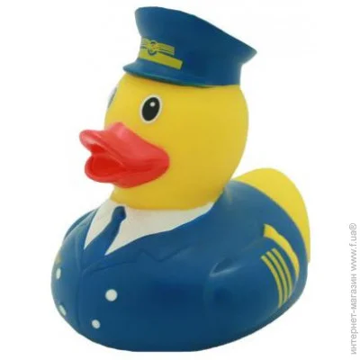 Funny Ducks      (1872)