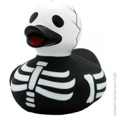 Funny Ducks      (L1834)