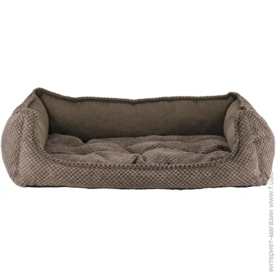 Fx Home  Armando Brown  655018 