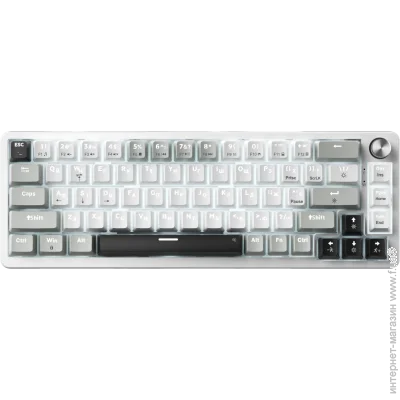  Gamepro Genesis Silverlight (MK116)