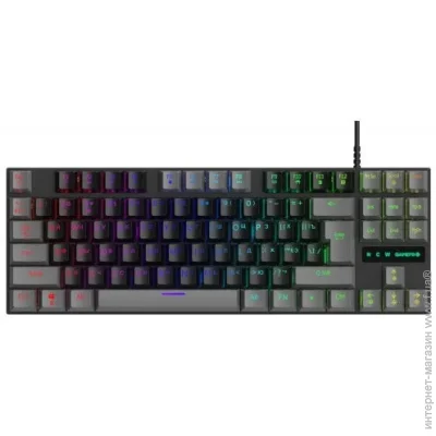  Gamepro MK100R