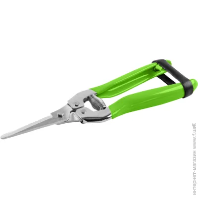  Gartner 80001019 185 
