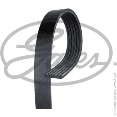   Gates GAT6PK2005 (6PK2005)