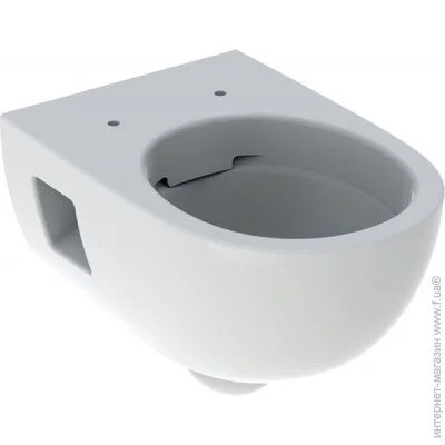   Geberit Selnova Rimfree   (501.545.01.1)