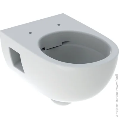  Geberit Selnova Rimfree   (4025410759023)