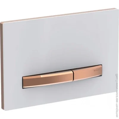    Geberit Sigma 50 (115.670.00.2)