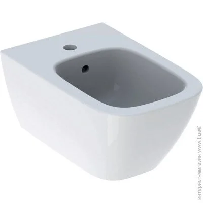 Geberit SMYLE Square     54,   (500.209.01.1)