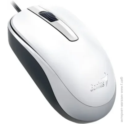  Genius DX-120 White (31010105102)