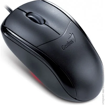  Genius NetScroll 110X USB Black (31010585101)