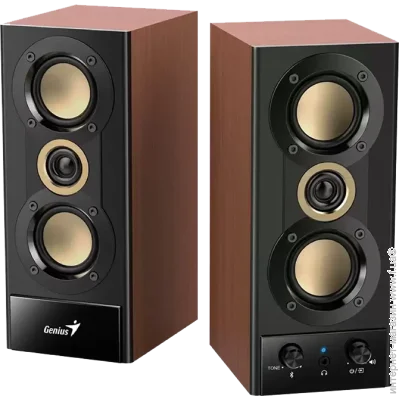  Genius SP-HF800 BT Black (31730051401)