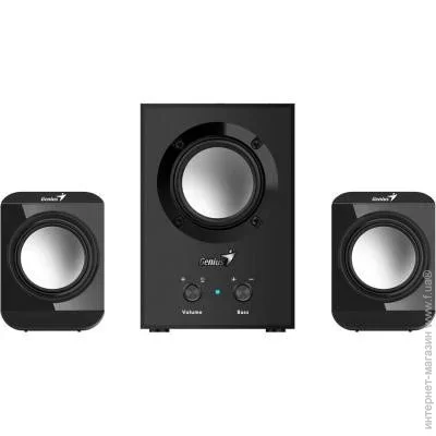   Genius SW-2.1 300 Black (31730035400)
