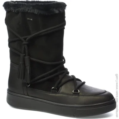 ϳ    Geox .36  (011413-36)