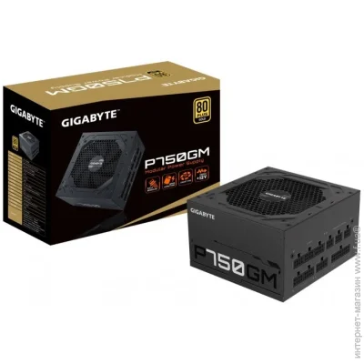   Gigabyte 750W (GP-P750GM)