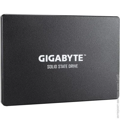 SSD Gigabyte SATA 1TB (GP-GSTFS31100TNTD)