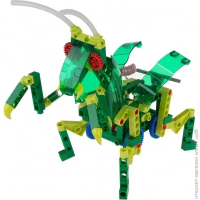   Gigo   (7346) 142 .