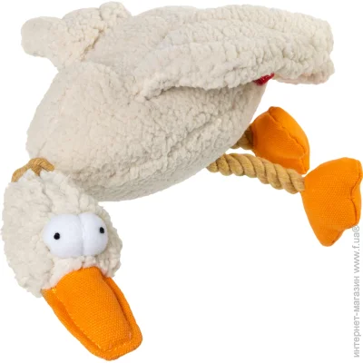 Gigwi       Catch&fetch 36 
