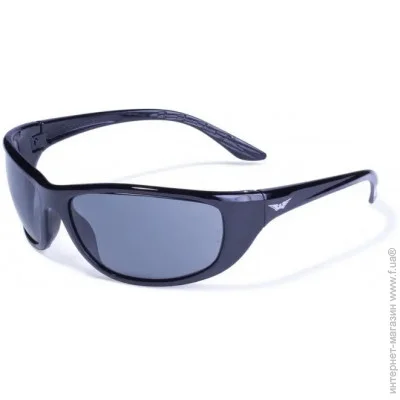   Global Vision    Hercules-6 (gray) 