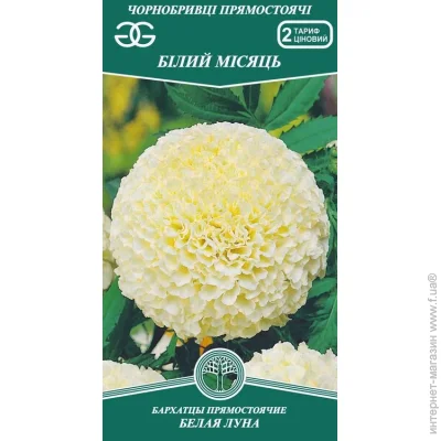 Golden Garden     0,5  0.5 