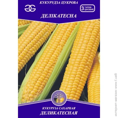 Golden Garden    20 20 
