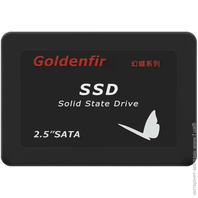 SSD Goldenfir 256GB 2.5 SATA III