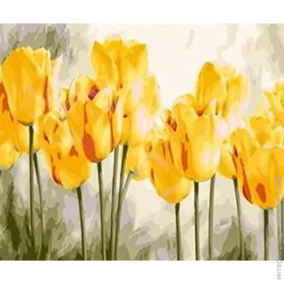 Gotoart       40x50 