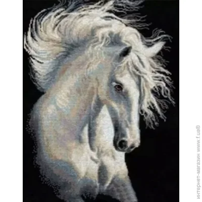 Gotoart      40x50 