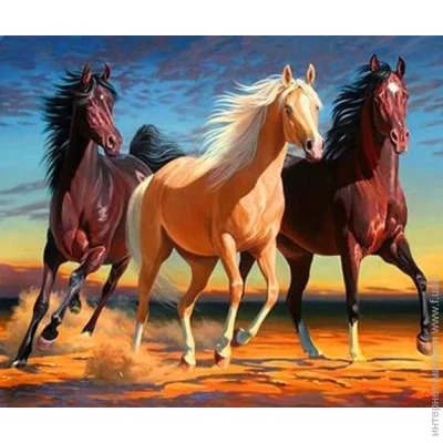 Gotoart        40x50 