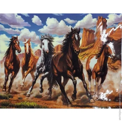 Gotoart        40x50 