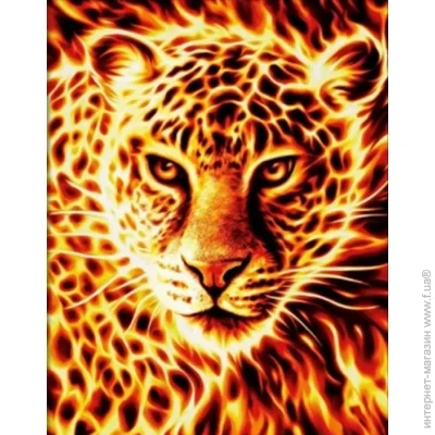 Gotoart        40x50 