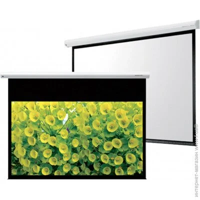   Grandview CB-P100 (4:3) WM5 (SSW) 203 c 152 c
