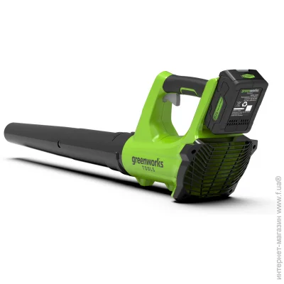  Greenworks G24AB