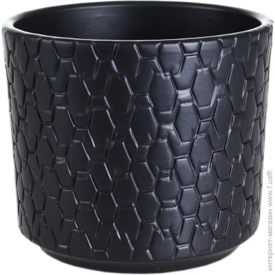 Griebling   ϳ  16,5     2,4  (98416/017)
